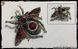 Брошка Кришталевий жук - "Crystal Beetle" + подарункова упаковка 2611 фото 5