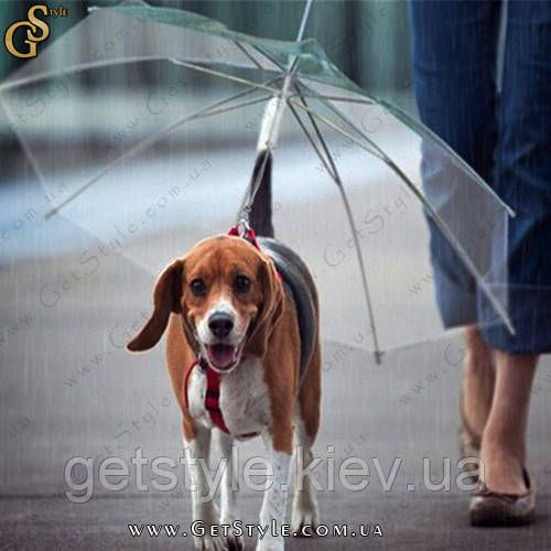 Парасолька для собаки - "Pet Umbrella" 2439 фото