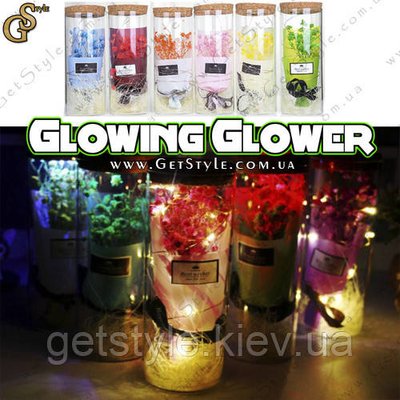 Нічник Квітка в футлярі - "Glowing Glover" 2936 фото