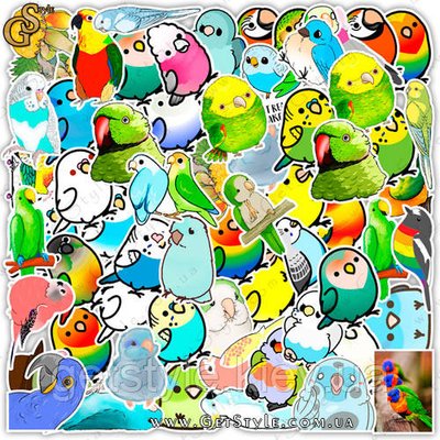 Набір наклейок Папуга Parrots 50 шт. 3625 фото