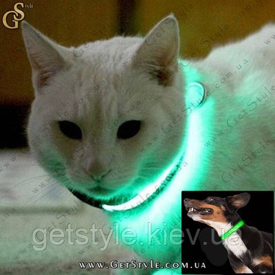 Светящийся ошейник для кошек и небольших собак - 25 см. 1186-1 фото
