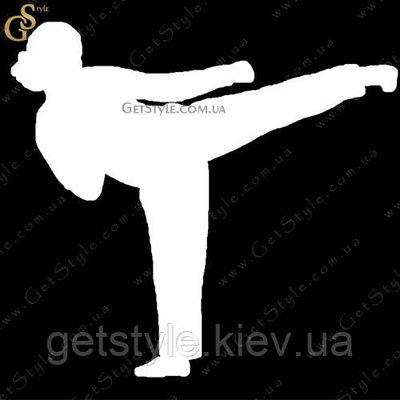 Наклейка "Karate Girl" 2025 фото