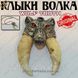 Ікла Вовка - "Wolf Tooth" - Оригінал 2719 фото 1