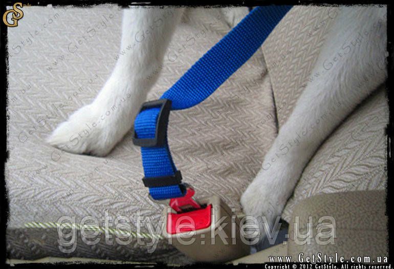 Автомобільний ремінь безпеки для собак Travel Belt 1357 фото