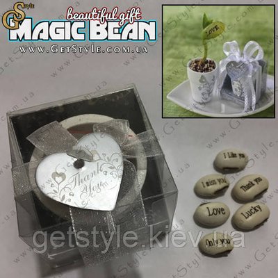 Горщик із чарівними бобами — "Magic Bean" 2654 фото