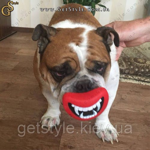 Забавна іграшка для собак - "Smiling Dog" 2073 фото