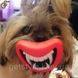 Забавна іграшка для собак - "Smiling Dog" 2073 фото 4