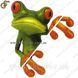 Наклейка 3D - "Moodeosa Frog" 1547 фото 2