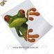 Наклейка 3D - "Moodeosa Frog" 1547 фото 3