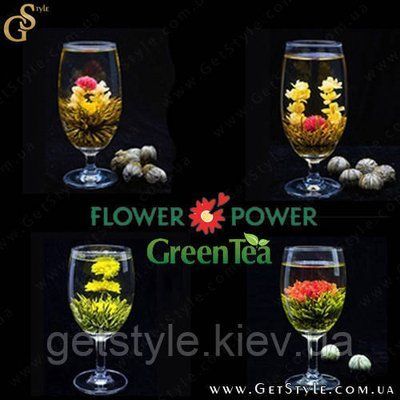 Зелений чай-квітка - "Flower Power" - 4 шт 1562 фото