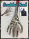 Чесалка для спины Scratcher Hand черный цвет 2115 фото 1