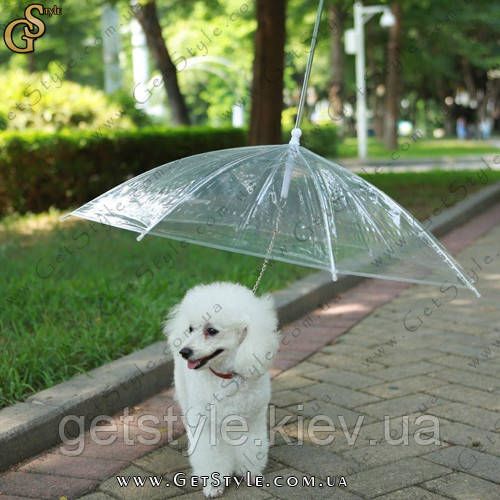 Зонтик для собаки - "Pet Umbrella" 2439 фото