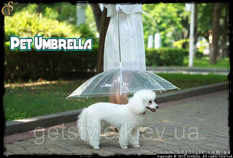 Зонтик для собаки - "Pet Umbrella" 2439 фото