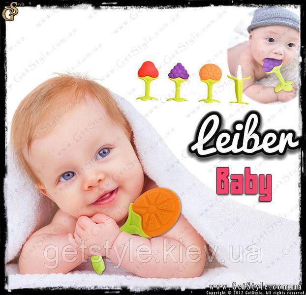 Дитячий прорізувач (гризунок) - "Baby Leiber" з боксом для зберігання 1872 фото