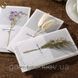 Листівка-гербарій - "Flower Postcard" - 16 х 9 см 2410 фото 3