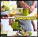 Соковитискач Лійка - "Lemoniere" 2709 фото 5