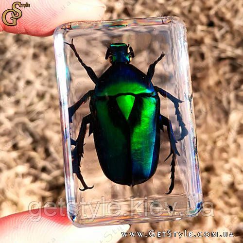 Изумрудный жук в акриле Green Bug подарочная упаковка 3084 фото