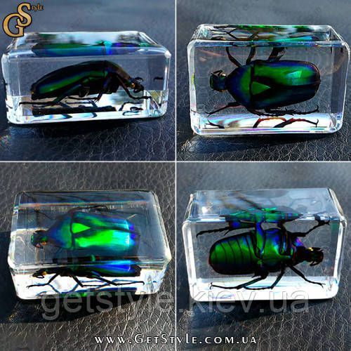 Изумрудный жук в акриле Green Bug подарочная упаковка 3084 фото