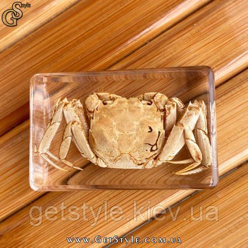 Краб в акрилі Crab подарункове паковання 3088 фото