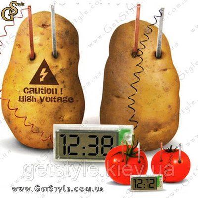 Овощные часы - "Vegetable Clock" 1157 фото