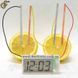 Овочеві годинник - "Vegetable Clock" 1157 фото 4