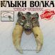 Клыки Волка - "Wolf Tooth" - Оригинал 2719 фото 2