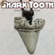Акриловий Зуб Акули - "Shark Tooth" - оберіг захисту! 1727-1 фото 1