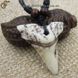 Акриловий Зуб Акули - "Shark Tooth" - оберіг захисту! 1727-1 фото 4