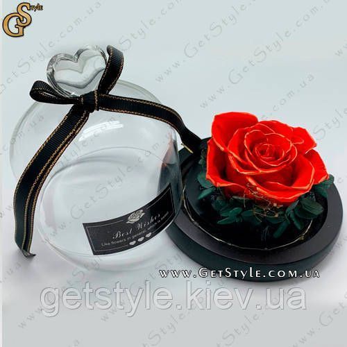 Светящиеся розы в футляре - "Light Roses" 2820-1 фото