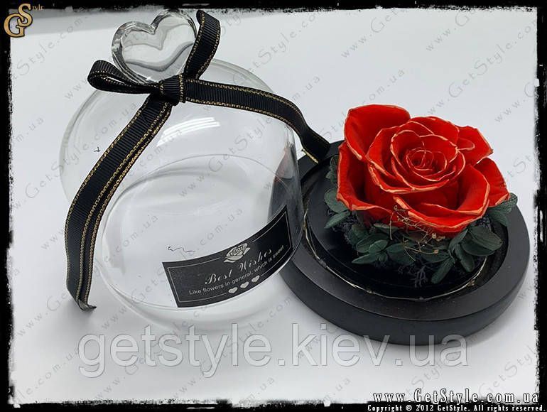 Светящиеся розы в футляре - "Light Roses" 2820-1 фото