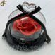 Светящиеся розы в футляре - "Light Roses" 2820-1 фото 2