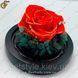 Светящиеся розы в футляре - "Light Roses" 2820-1 фото 3