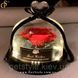 Светящиеся розы в футляре - "Light Roses" 2820-1 фото 1