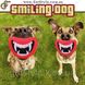 Забавная игрушка для собак - "Smiling Dog" 2073 фото 1